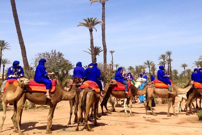 Agafay ou Palmeraie : quel circuit choisir ?