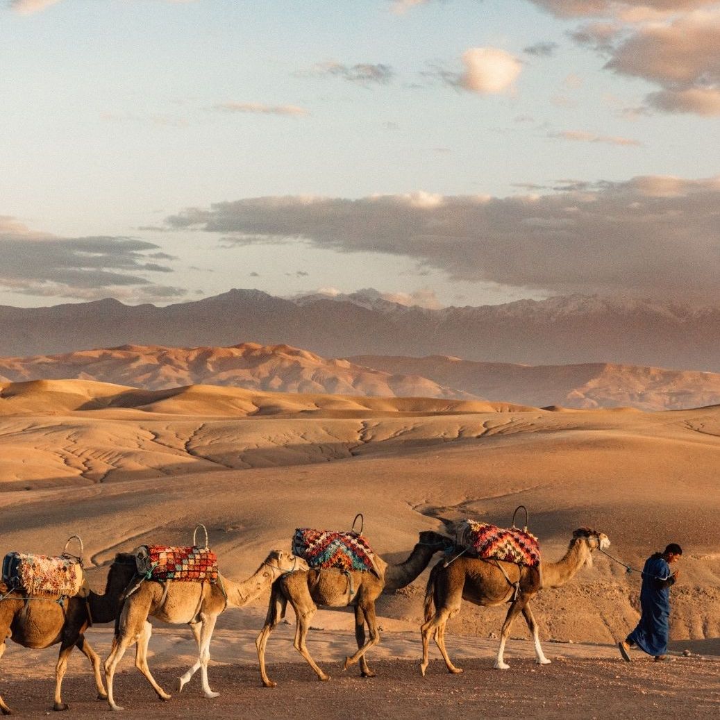 Les secrets du désert de Marrakech
