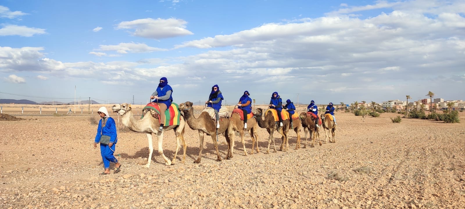 Balade à dos de dromadaire à Marrakech : ce qu'il faut savoir avant de réserver
