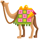 Camel ride